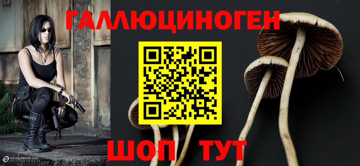 Псилоцибиновые грибы GOLDEN TEACHER Ейск